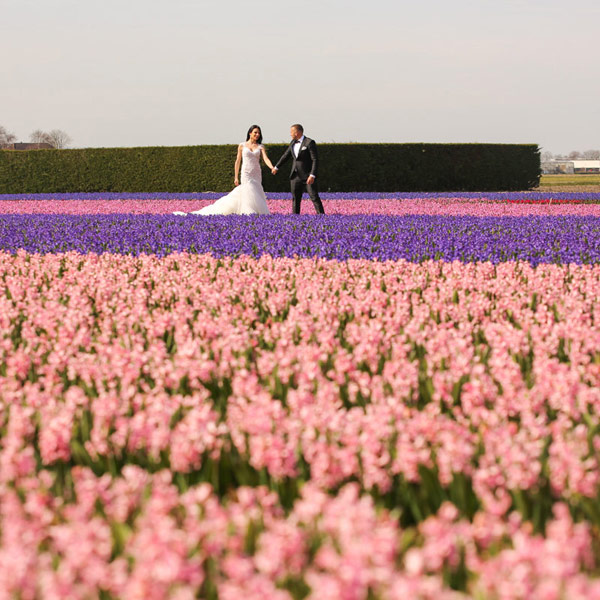 De zoektocht naar een trouwlocatie in Flevoland